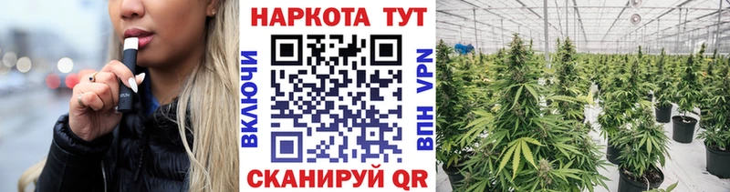 Купить закладку Амфетамин  Каннабис  COCAIN  Меф мяу мяу  Гашиш  СОЛЬ  Астрахань