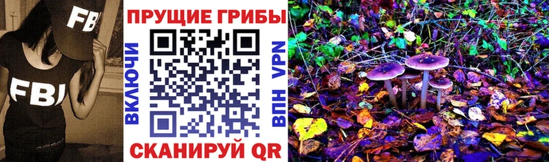 Галлюциногенные грибы GOLDEN TEACHER  Купить закладки  Астрахань 