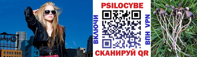 Псилоцибиновые грибы прущие грибы Астрахань